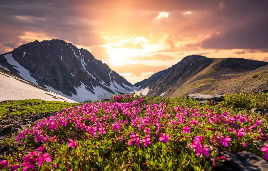 Hemkund Sahib Yatra- Sacred Journey to the Himalayas